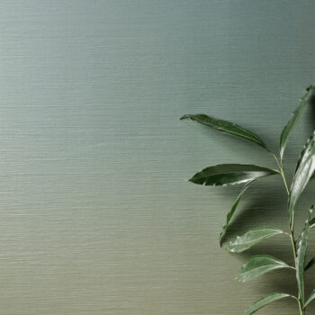 8 IRIDEA DEGRADE' ALGA-OCEANO 8 IRIDEA DEGRADE' ALGA-OCEANO